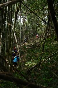 BIB: 
                            <button type="button" onclick="openModal(22241983)" class="btn btn-primary btn-sm float-right btn-popup" data-toggle="modal" data-target=".modal-high-quality">
                        <i class="fas fa-shopping-cart"></i> Add to Cart
                    </button>
                                            <button type="button" onclick="isThisMe(22241983, true)" class="btn btn-success btn-sm float-right btn-popup btn-isme hidden" data-toggle="tooltip" data-placement="bottom" title="นี่คือรูปของคุณใช่ไหม คลิกที่นี่เพื่อเอาเข้าอัลบั้ม">
                        <i class="fas fa-plus"></i> Add to album
                    </button>
                    <button type="button" onclick="isThisMe(22241983, false)" class="btn btn-warning btn-sm float-right btn-popup btn-isnotme hidden">
                        <i class="fas fa-ban"></i> Remove from album
                    </button>